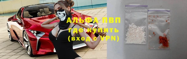 прущие грибы Снежногорск