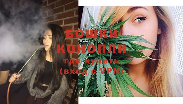 шишки Снежинск