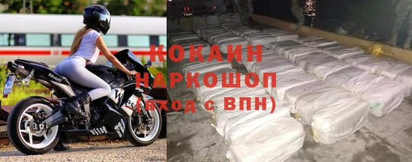 шишки Снежинск