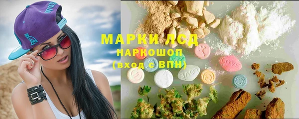 прущие грибы Снежногорск