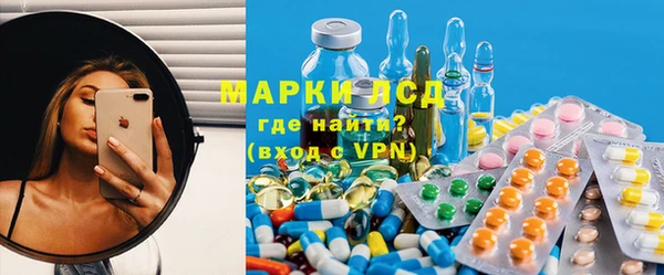 прущие грибы Снежногорск