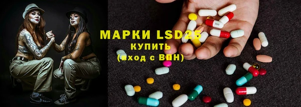 шишки Снежинск